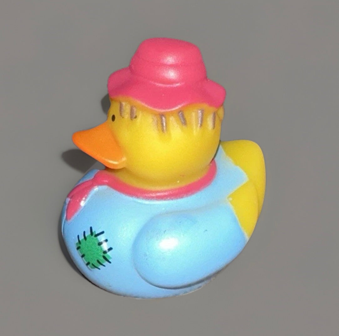 Blue Scare Crow Rubber Duck 2”