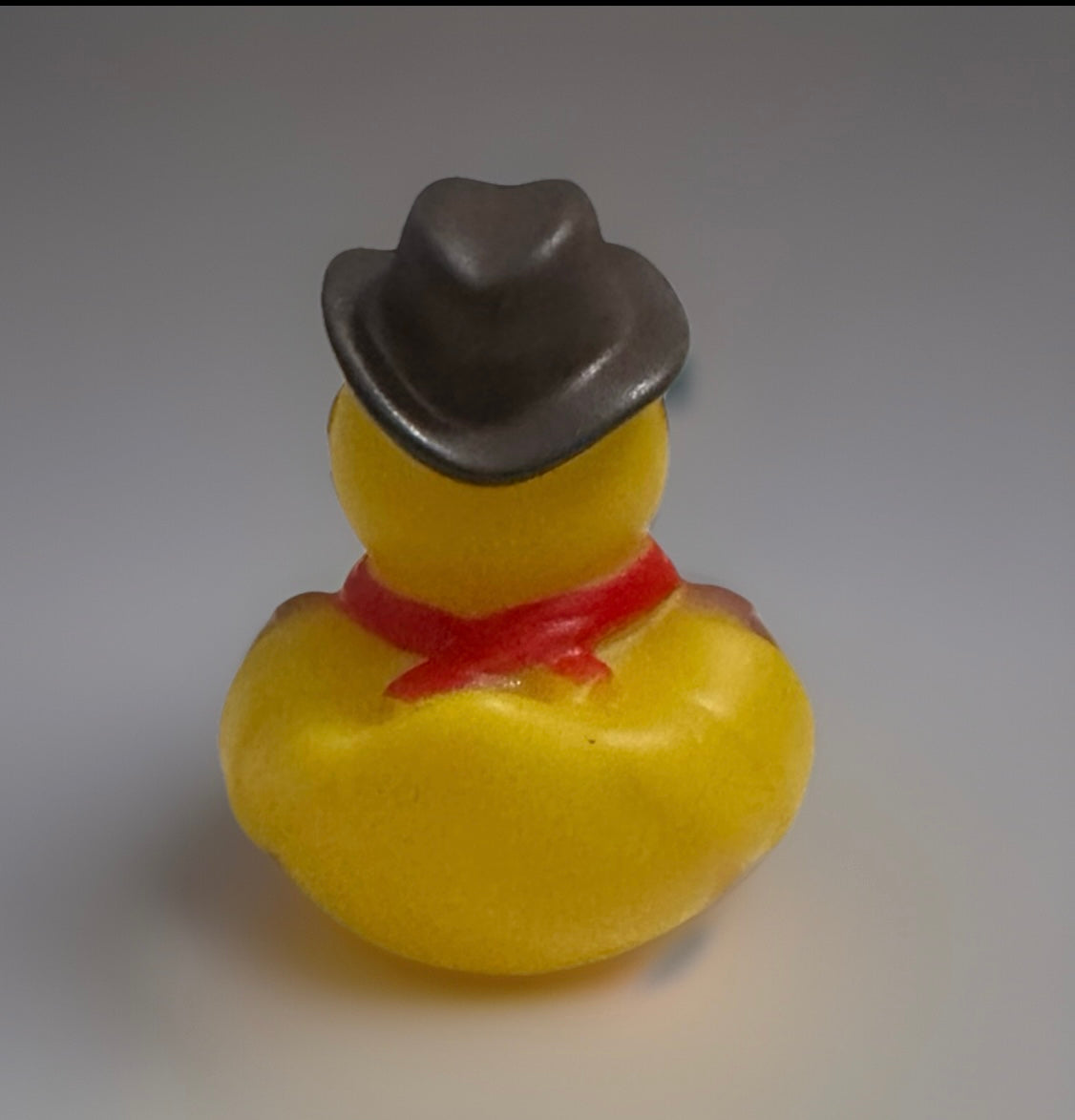 President Roosevelt Washington Rubber Duck 2”