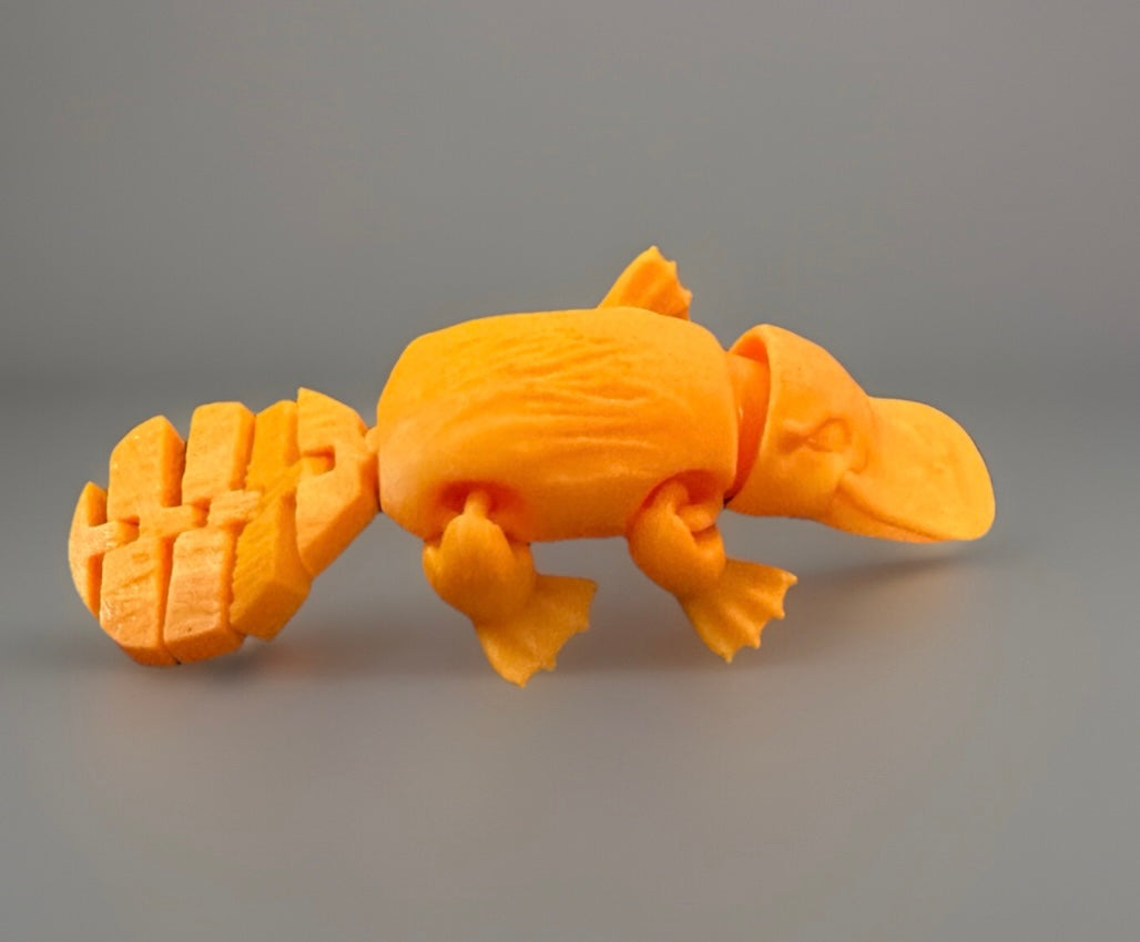 3D articulated fidget platypus in bright orange with movable joints for sensory play
