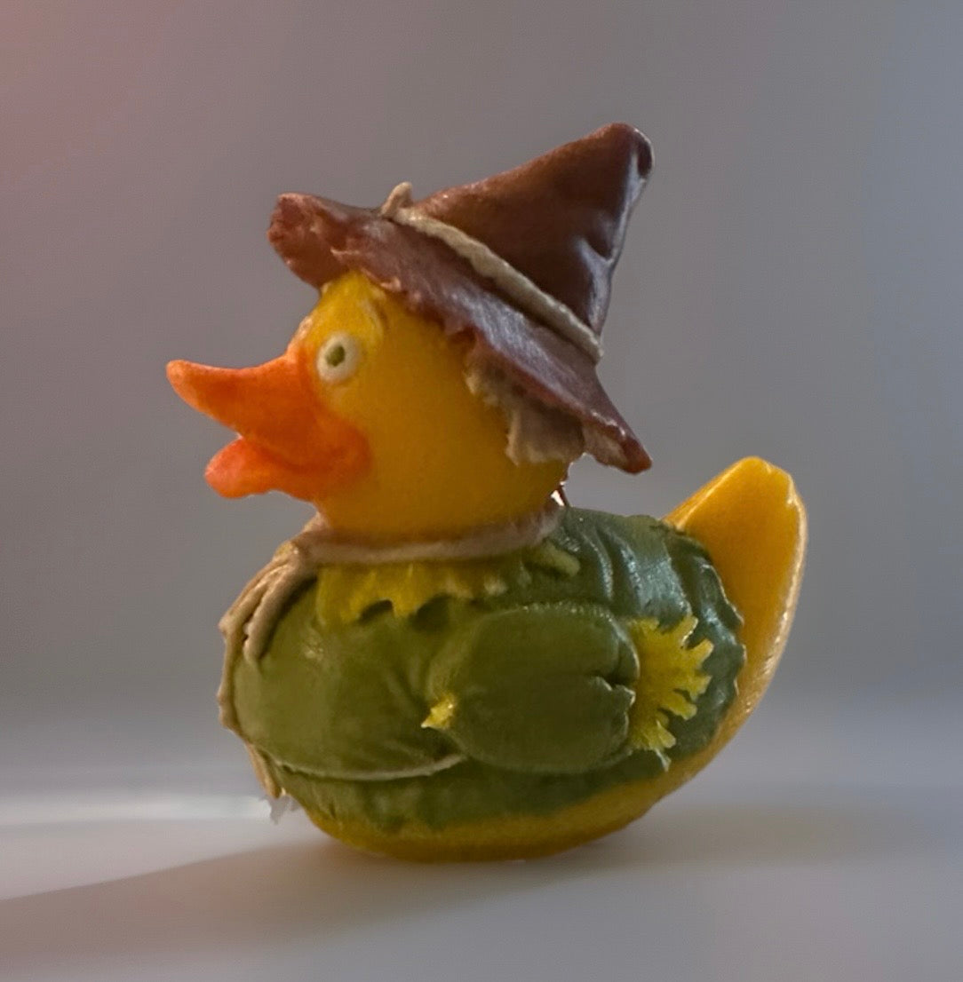 Reed's 3D Printed Wizard of Oz’s Scare Crow Duck-Collectible