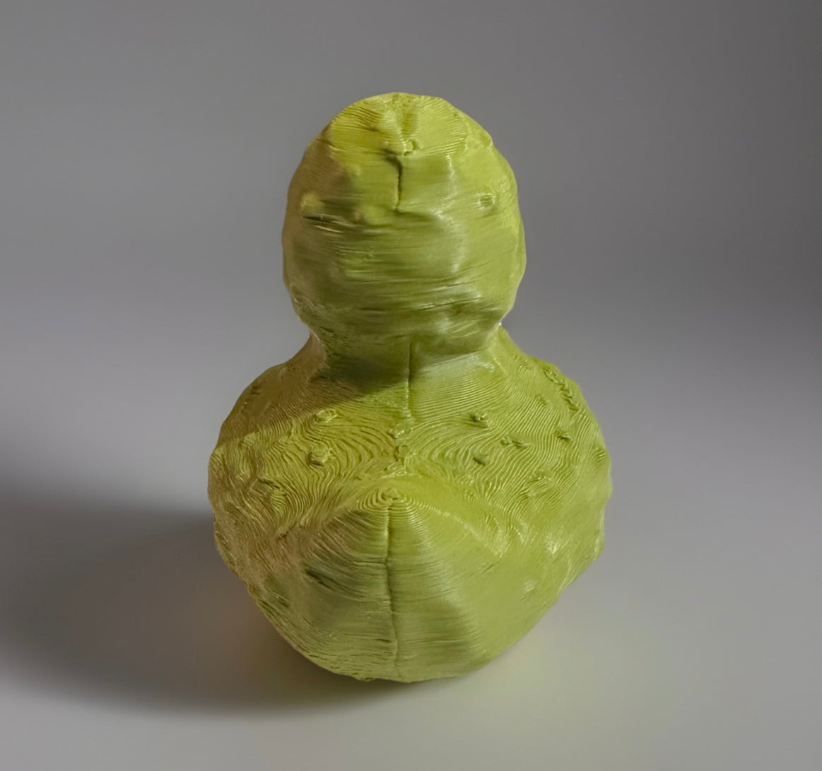 3D Printed Pickle Duck Made by Reeds Rubber Ducks and Sensory Shop